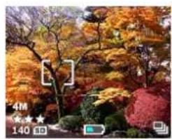 MEDION MD 85099 - Setting Auto Focus (AF) Area Selection - 4