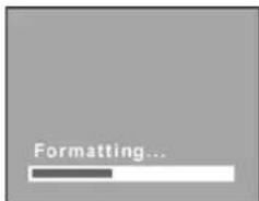 Formatting...
