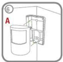 ⑥ A