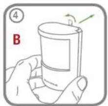 ④ B