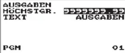 AUSGABEN HÖCHSTGR. TEXT 3999999.99 AUSGABEN PGM 01