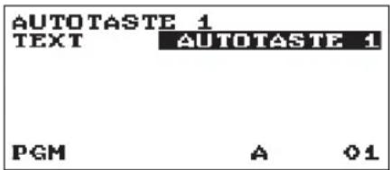AUTOTASTE 1 TEXT AUTOTASTE 1 PGM A 01