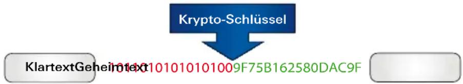 Digittrade HS256 S3 - Verschlüsselung - 1