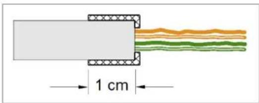 1 cm