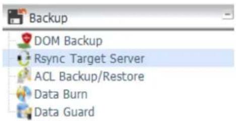 Thecus TopTower N8850 - Rsync Target Server - 1
