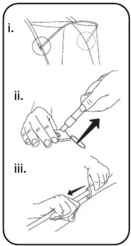 i. ii. iii.