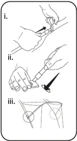 i. ii. iii.