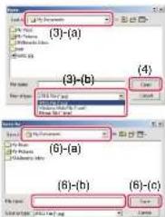 (3)-(a) (3)-(b) (4) (6)-(a) (6)-(b) (6)-(c)