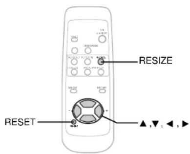 RESIZE RESET