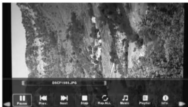 DSCP1981.JPG Pause Prev. Next Stop Rep ALL Music Playlist Info.