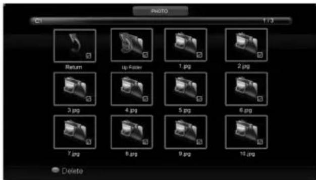 PHOTO C1 173 Return Up Folder 1.1 pg 2.1 pg 3.1 pg 4.1 pg 5.1 pg 6.1 pg 7.1 pg 8.1 pg 9.1 pg 10.1 pg Delete