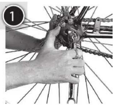 Westbeach Bio-Hazard 01 - Chain Tension - 1