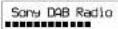 SONY XDR-S10DAB - Initial setting for the unit - 2