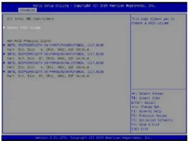 Supermicro X11DPH-i - E.2 Configuring RAID Settings - 1