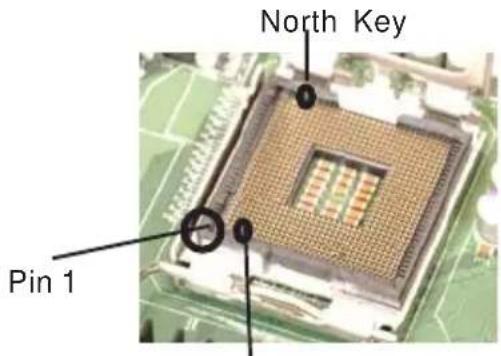 Supermicro P8SCi - Installation of the LGA775 Processor - 2