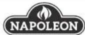 Napoleon Apollo AS200 - Mack's All-purpose BBQ Rub - 2
