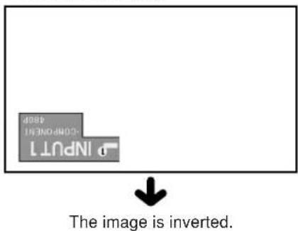 INTU1 COMPONET IN The image is inverted.