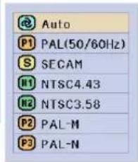 Auto P1 PAL(50/60Hz) S SECAM H1 NTSC4.43 H2 NTSC3.58 P2 PAL-M P3 PAL-N