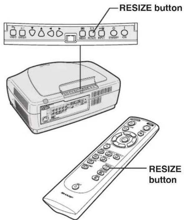 RESIZE button INDO ENTER MENU ROUTE INPUT STRAWB ON RESIZE button