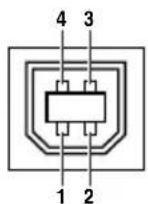SHARP PG-F310X - USB Terminal: Type B USB connector - 1