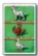 Amigo 6 nimmt! Junior - SPIELMATERIAL - 3