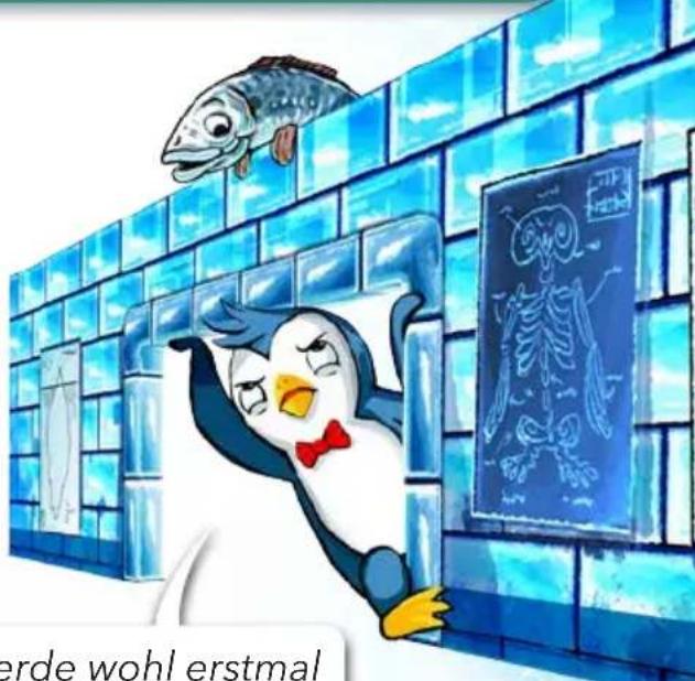 Amigo Icecool - Steckenbleiben in einer Tür - 1