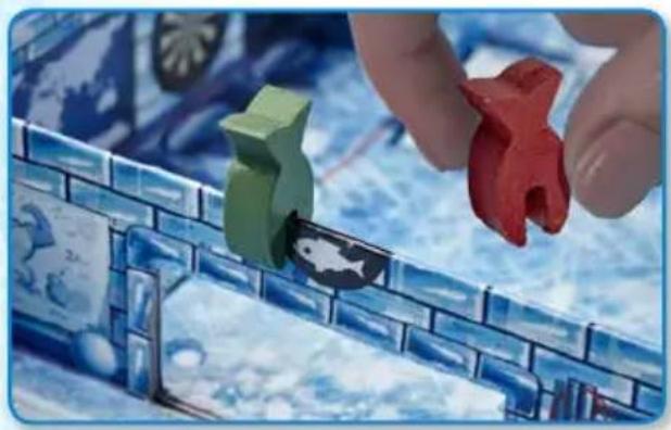 Amigo Icecool - Phase 1 - Aufbau - 1