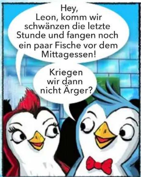 Amigo Icecool - SPIELIDEE - 1