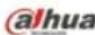 Dahua Technology Pro IPC-HDW5831R-ZE - Connection - 1
