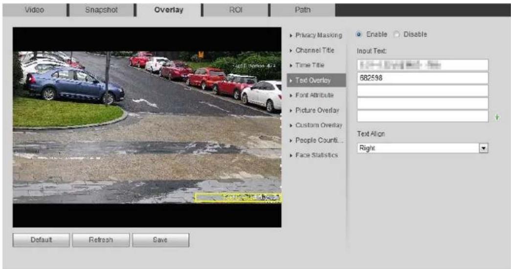 Dahua Technology Pro IPC-HDBW5442E-Z4E - Configure Text Overlay - 2