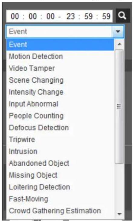 Dahua Technology Lite IPC-HFW3441T-ZAS - Playing back Video or Picture - 3