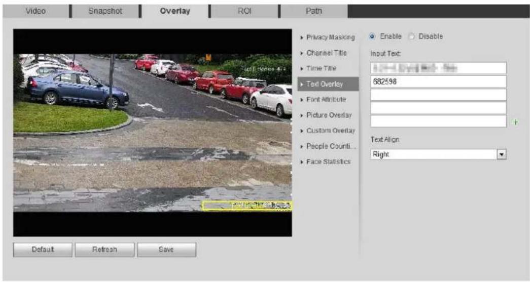 Dahua Technology Lite IPC-HFW3241T-ZAS - Configure Text Overlay - 2