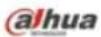Dahua Technology Lite IPC-HFW2831T-ZS - There are four sections: - 1