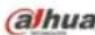Dahua Technology Lite IPC-HFW2831T-ZS - Video Window Function Option - 2