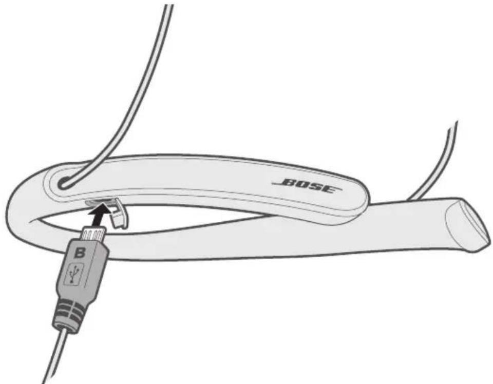 BOSE