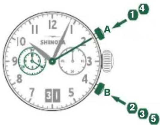 Shinola The Runwell - Please note: - 1