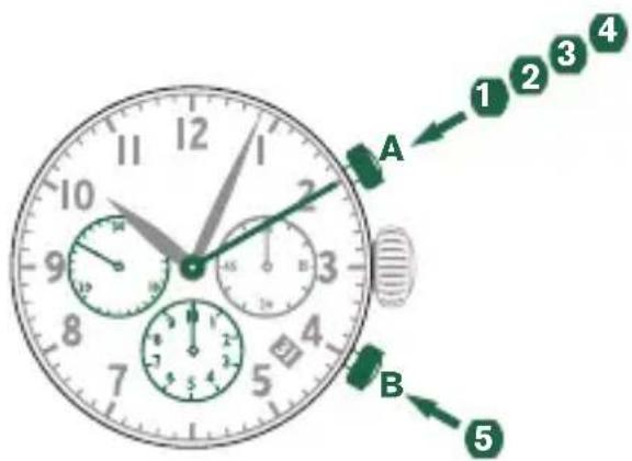 Shinola The Runwell - Please note: - 1