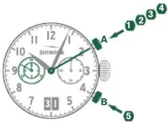 Shinola The Runwell - Please note: - 1
