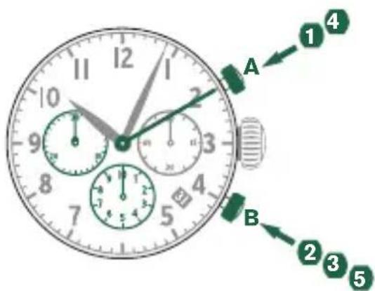 Shinola The Runwell - Please note: - 1