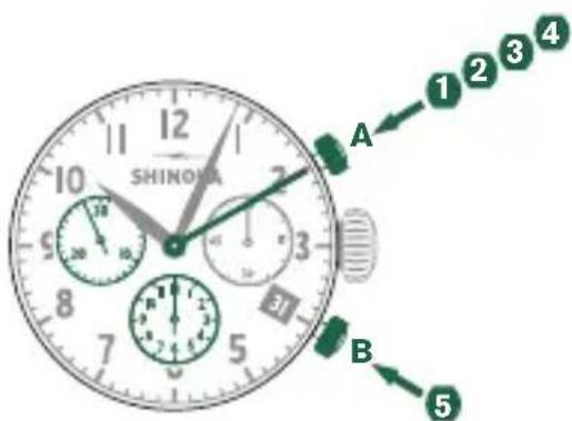 Shinola The Runwell - Example - 1