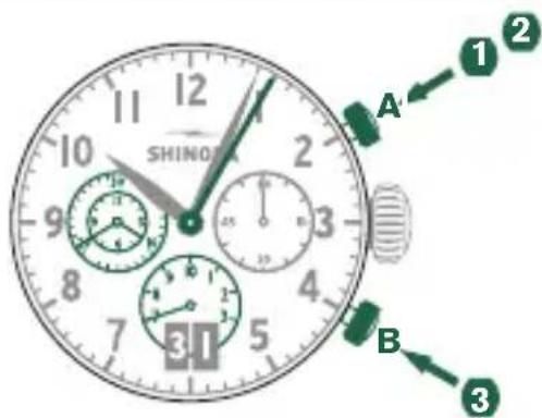 Shinola The Runwell - Example - 1
