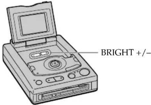 BRIGHT +/−