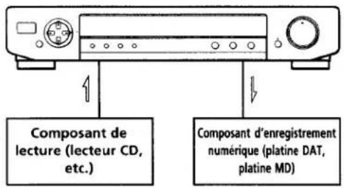 SONY SDP-E800 - Enregistrement numérique - 1