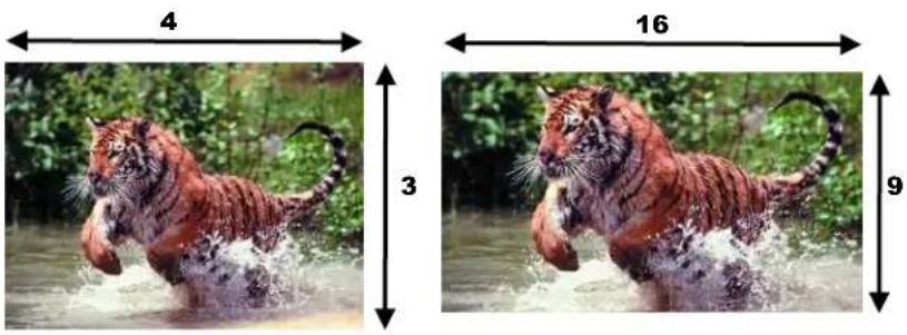 SONY CAV-M1000ES - Choosing an Aspect Ratio - 1