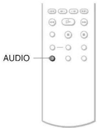 AUDIO