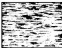 SONY SLV-669HF - Symptoms caused by contaminated video heads - 4