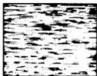 SONY SLV-360 - Symptoms caused by contaminated video heads - 4