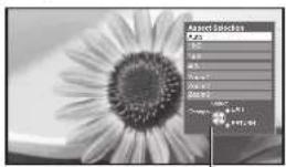 PANASONIC Viera TX-L32D28BW - If you would like to change the aspect ratio manually - 2