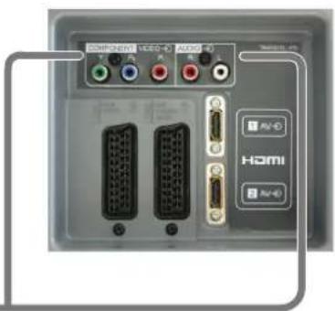 PANASONIC Viera TX-26LX6F - How to connect the Component Input terminals - 3