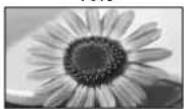 PANASONIC Viera TX-L32S10E - If you would like to change the aspect ratio manually ■ - 4
